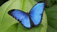 /album/fotogaleria/images-9-jpg/